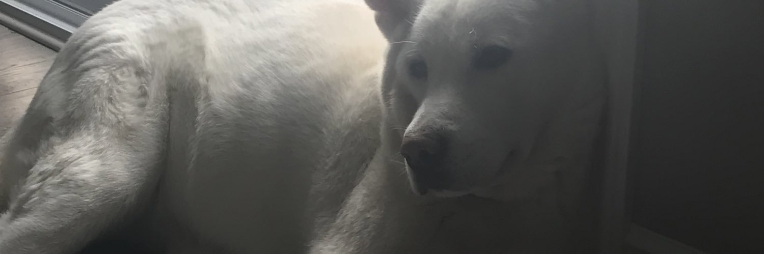 Shamrockboy94's profile banner image