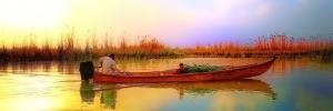 saedrazaq66's profile banner image