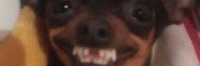johni_johnny_D's profile banner image