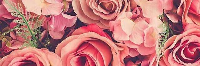 carlaose's profile banner image