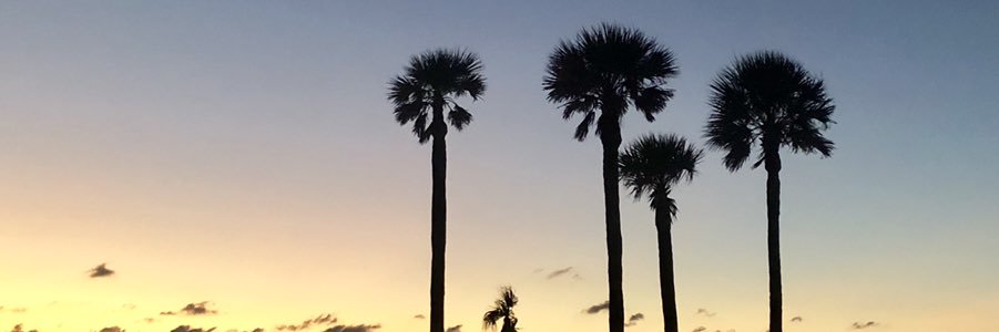 Laurrr_'s profile banner image