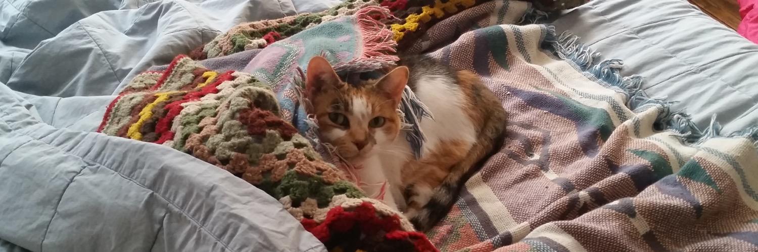 MeowrApp's profile banner image
