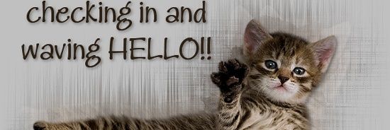 Nickolye banner