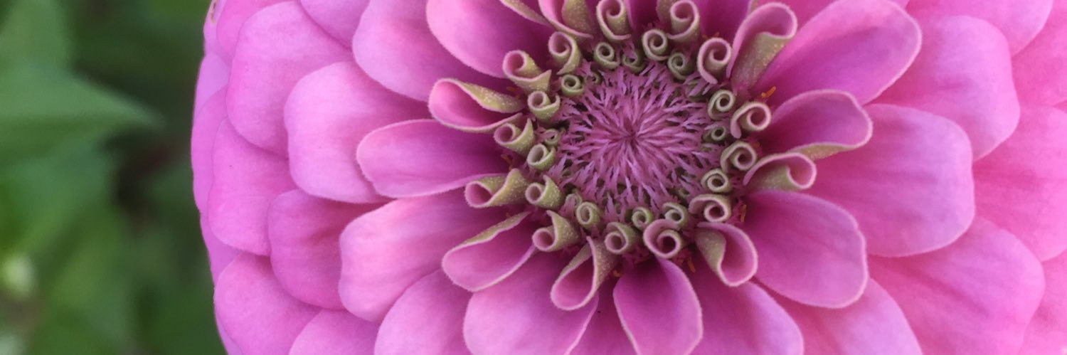 marleyestelle's profile banner image