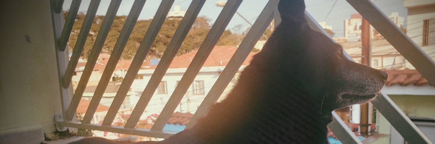 Gui_Massolin's profile banner image