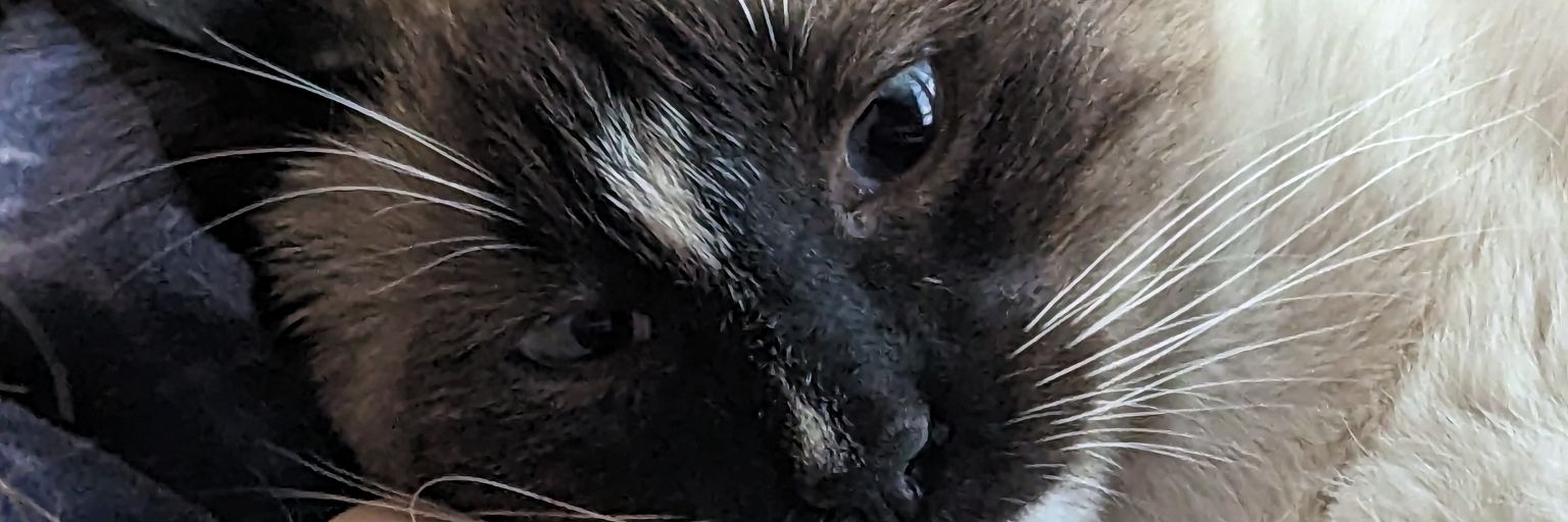 ArmandTaveraG's profile banner image