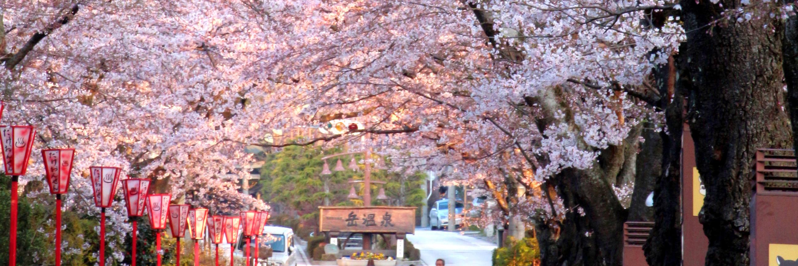 dakeonsen_s's profile banner image