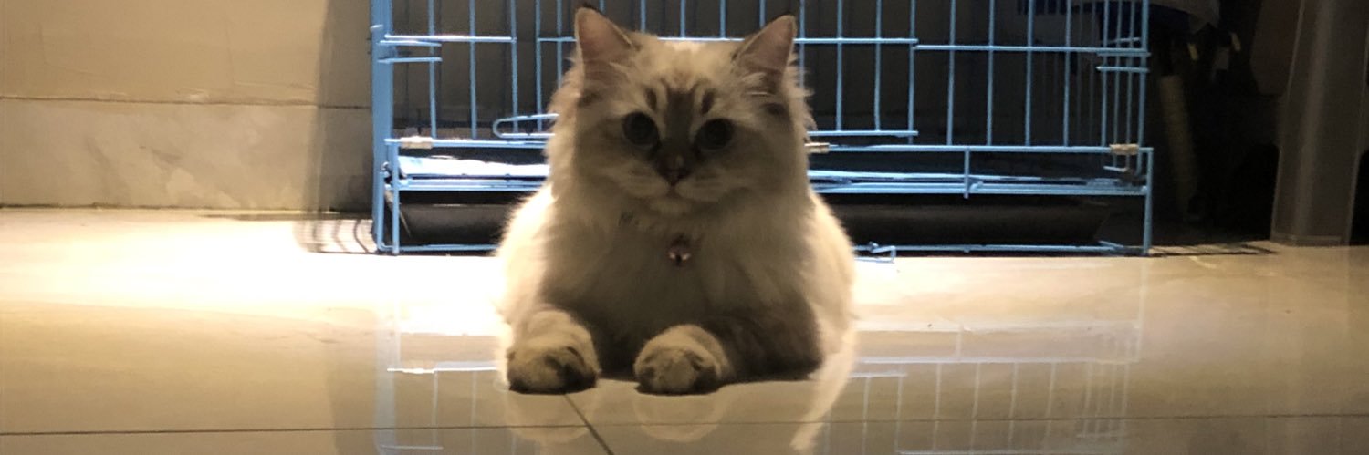 hilddanin's profile banner image