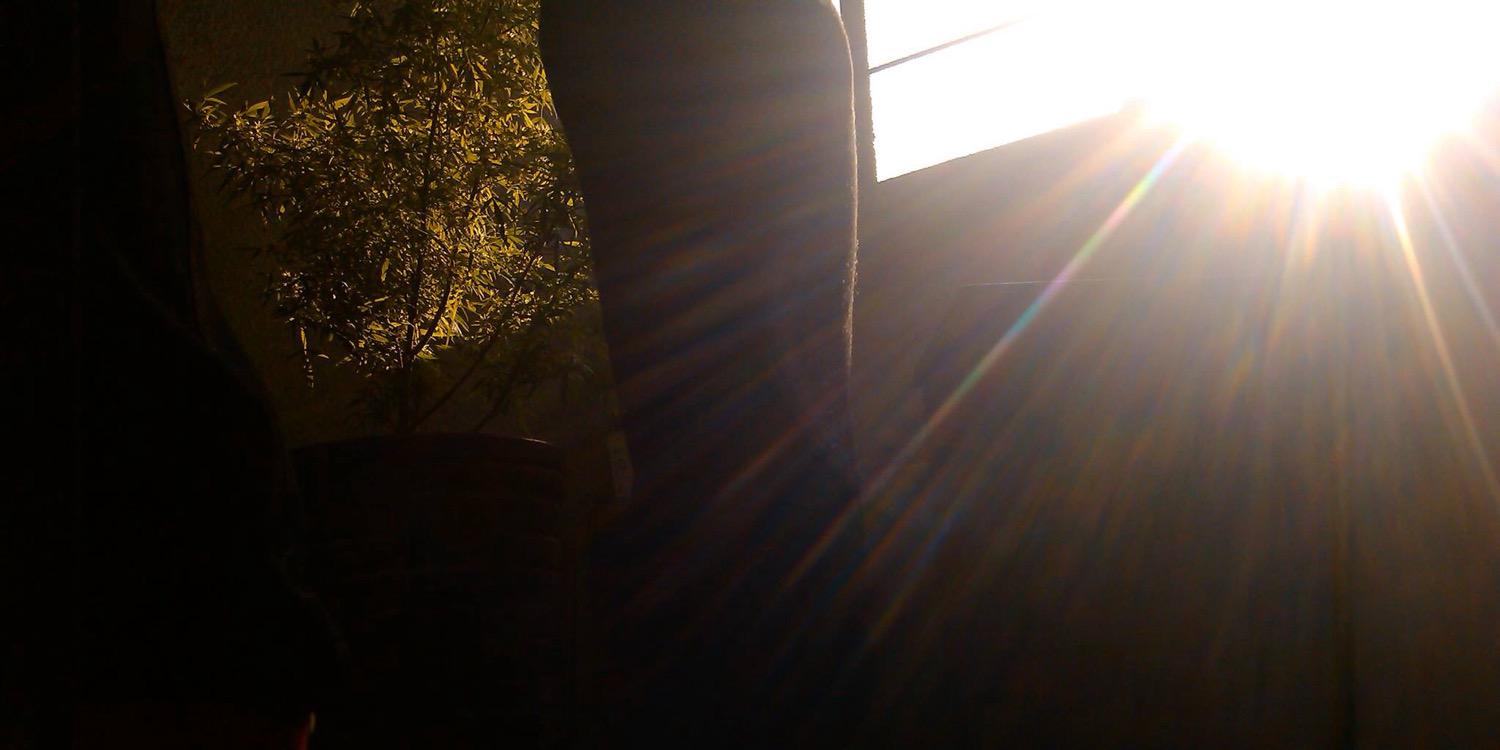 erectoforever's profile banner image