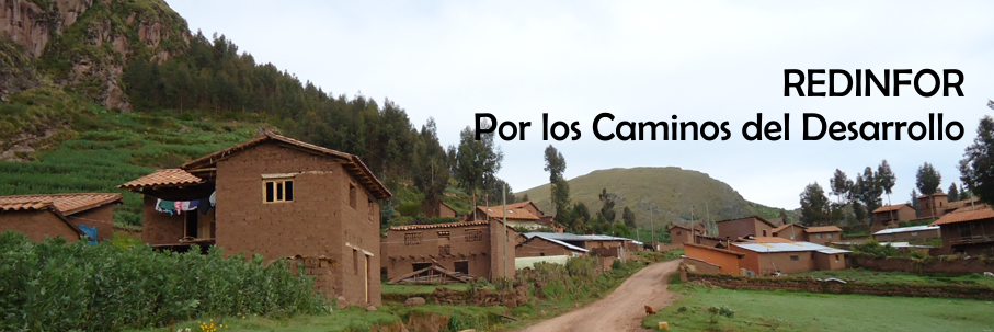 REDINFOR PERÚ banner