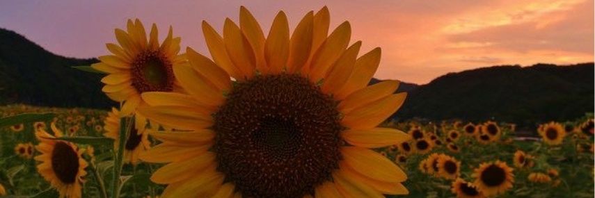 ♍️Pluto Hendrixx 🌌 banner