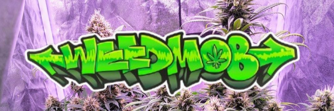 MarlonSB420ॐ💚🦄 banner
