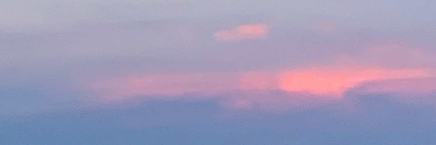 Juliet Doherty banner