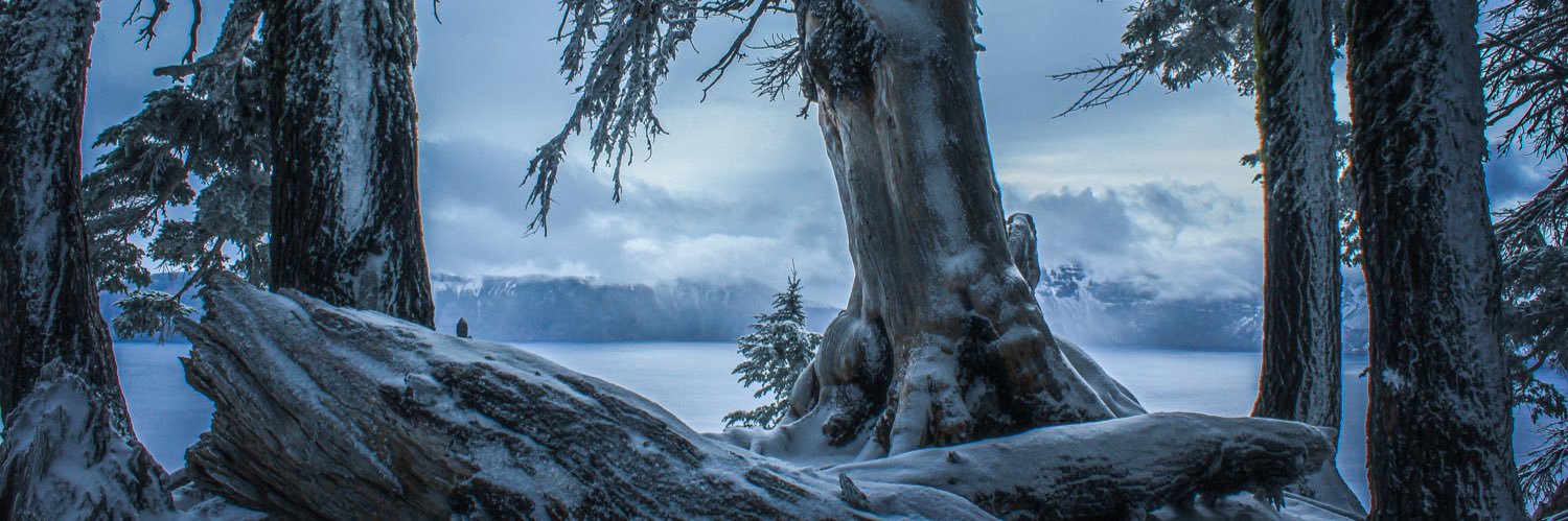 Bryptoboins's profile banner image
