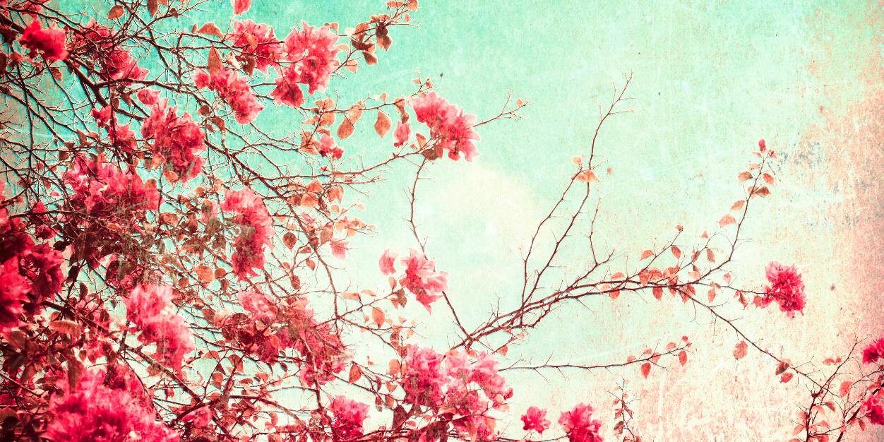 arq_mimi's profile banner image