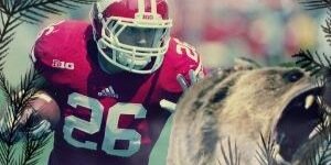 dstraus_26's profile banner image