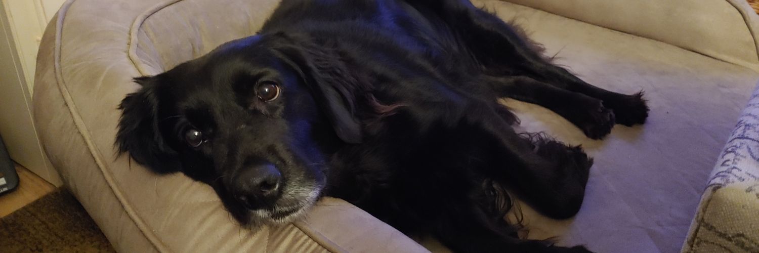 Harper Lee & MaryCate banner