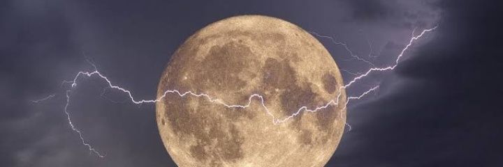 shamomu's profile banner image