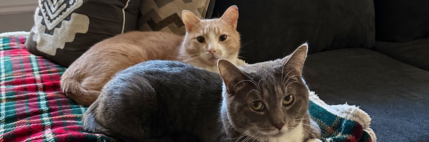 chelsroh's profile banner image
