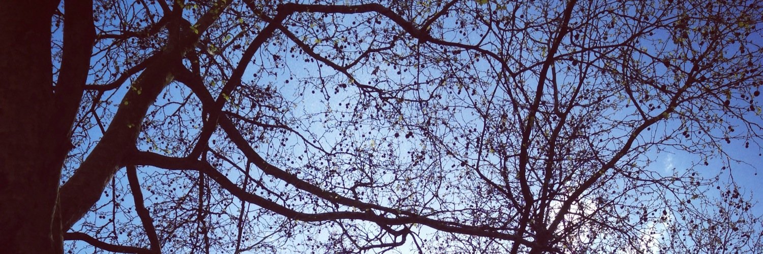 Oriel FeldmanHall banner