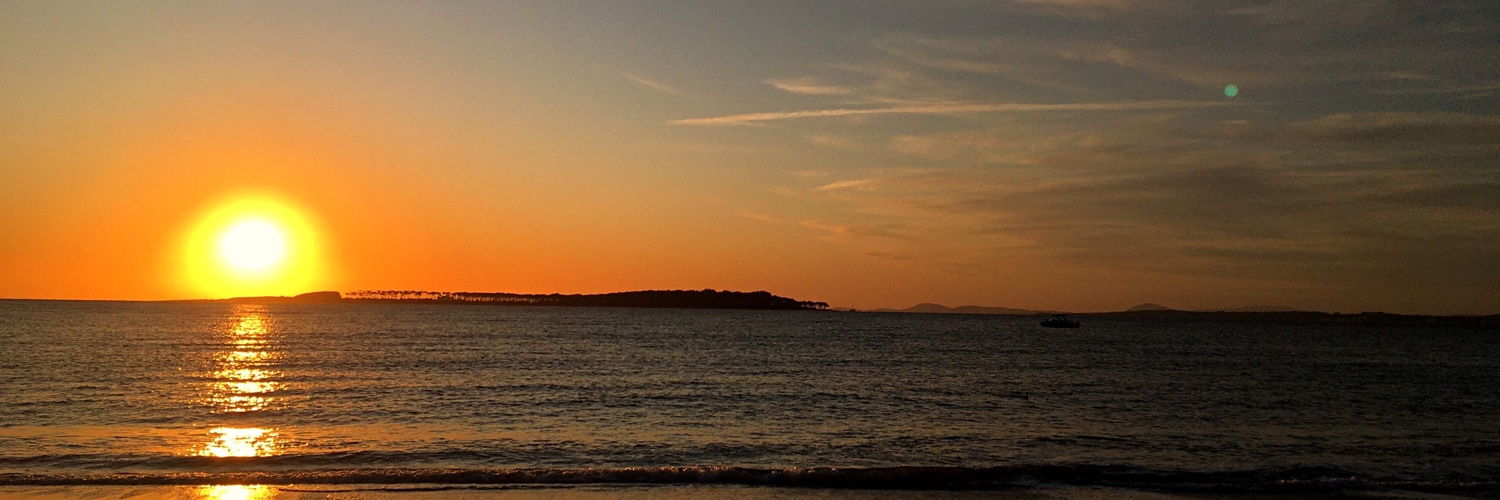 PazMelucci's profile banner image