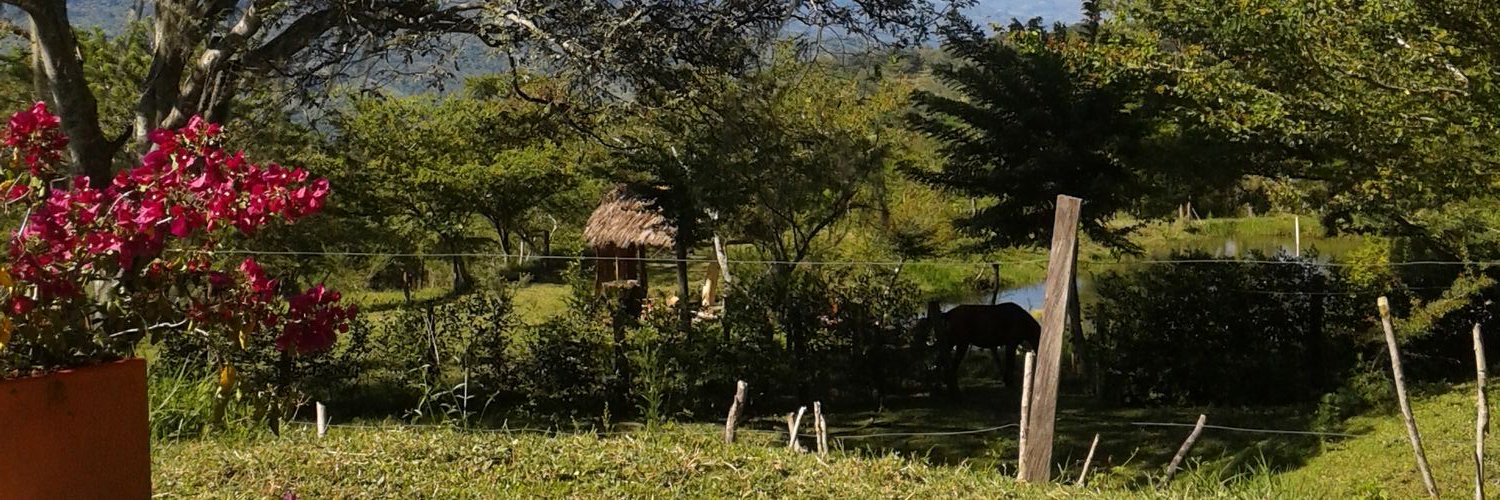 cabrerasantos's profile banner image