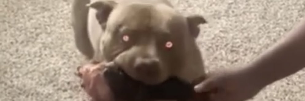 LoyalBeforeReal's profile banner image