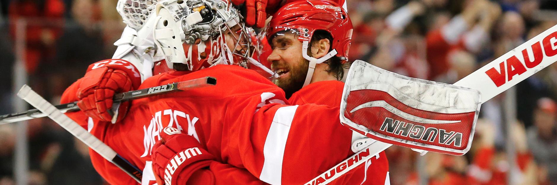 RedWingsViews's profile banner image