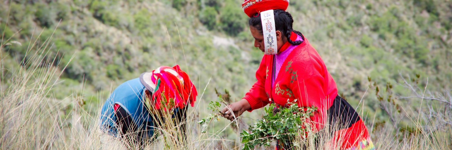 Florent Kaiser banner