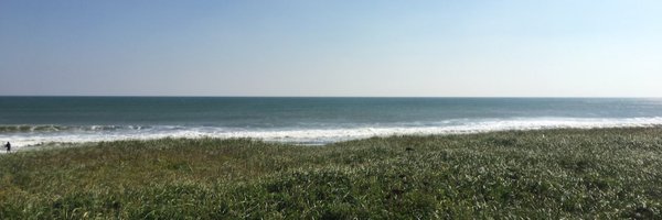 hutan Profile Banner