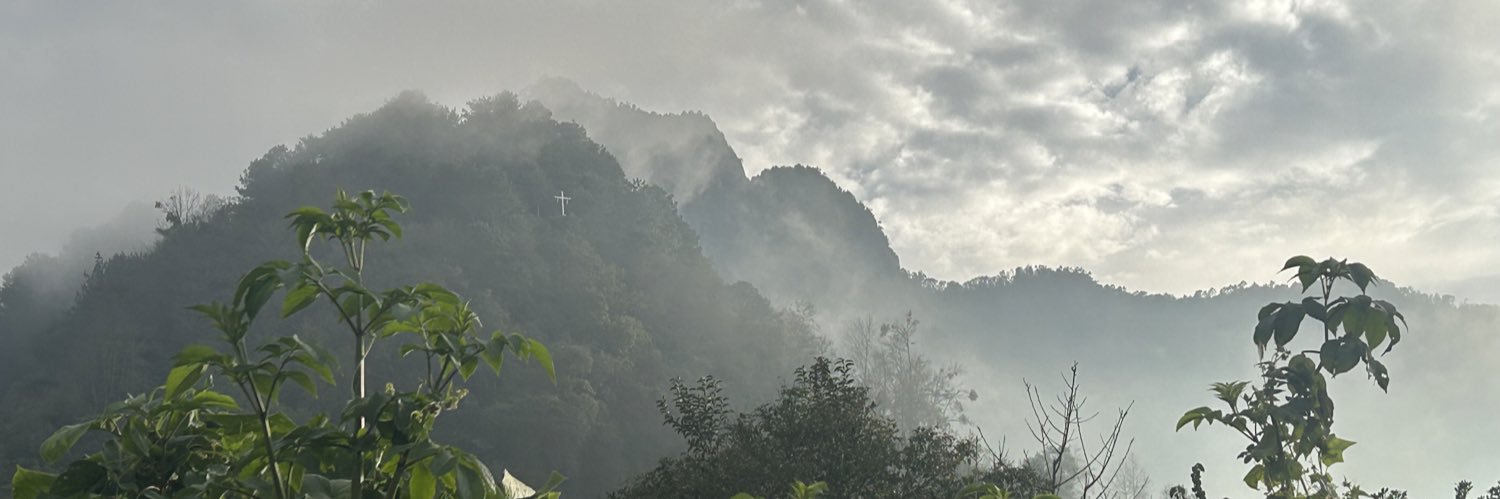 PolyesterTv's profile banner image