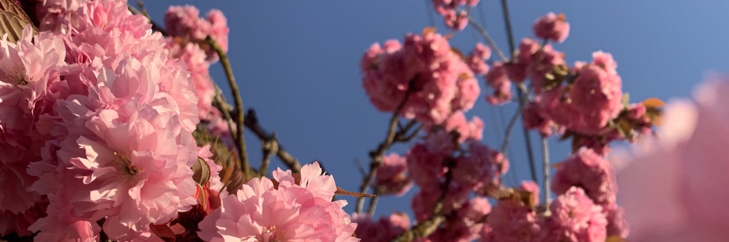 AJ_writes's profile banner image