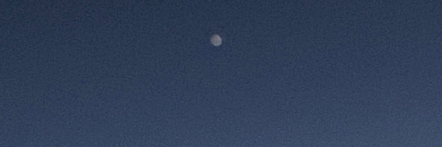 Maryanne 🙏 banner