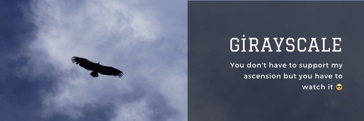 Girayscale's profile banner image