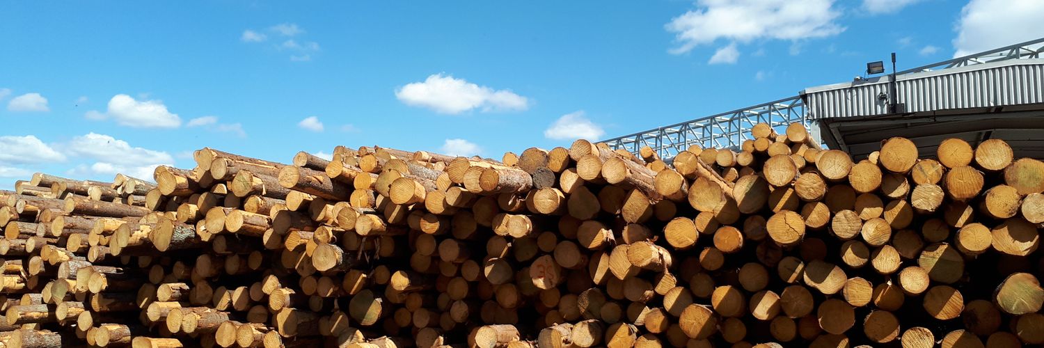 makela_johanna's profile banner image