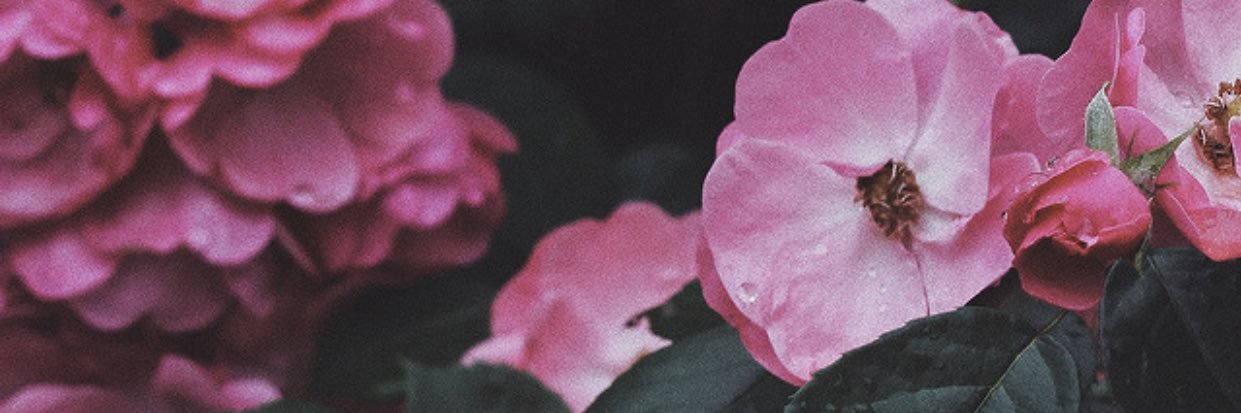 root__1's profile banner image