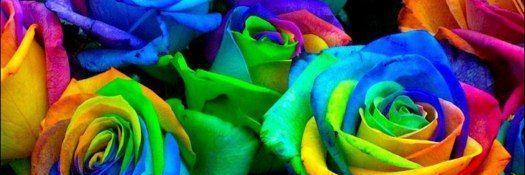 lieniite_284's profile banner image