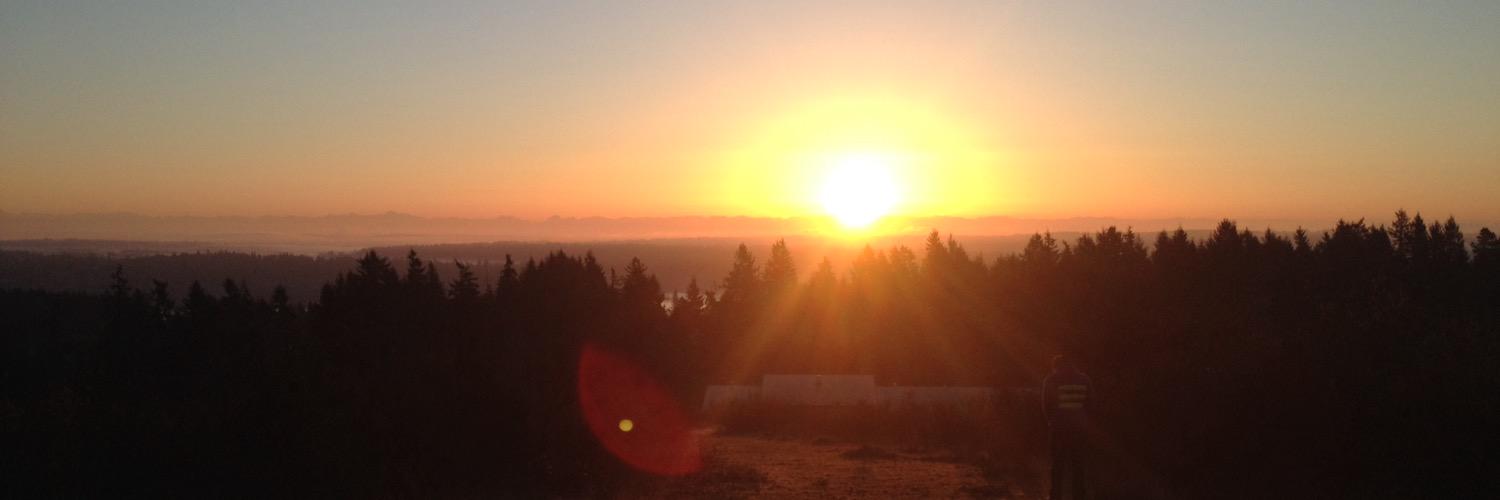 Torri F∃uLИ∃r banner