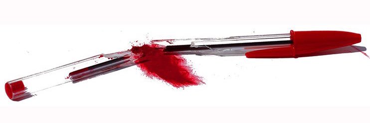 its Shelley, not Shirley. Sorry 🤷‍♀️ banner