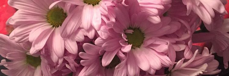 SAMANt33's profile banner image