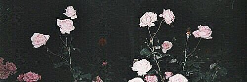 AI__fg's profile banner image