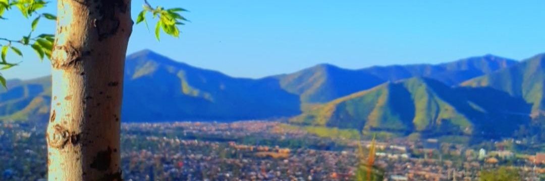 JarnAbraham's profile banner image