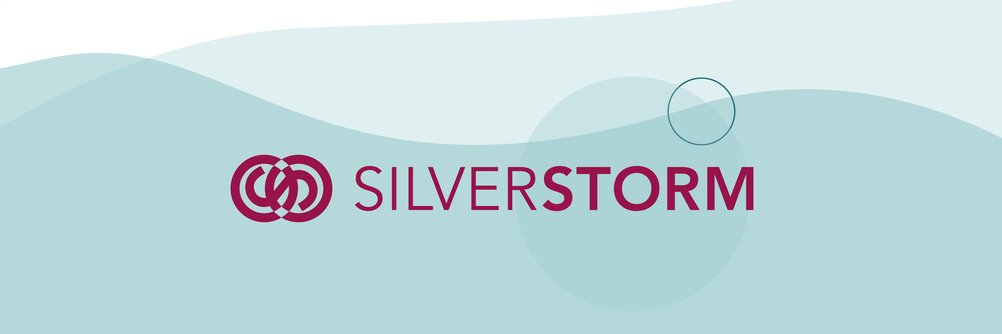 SilverStormLA's profile banner image