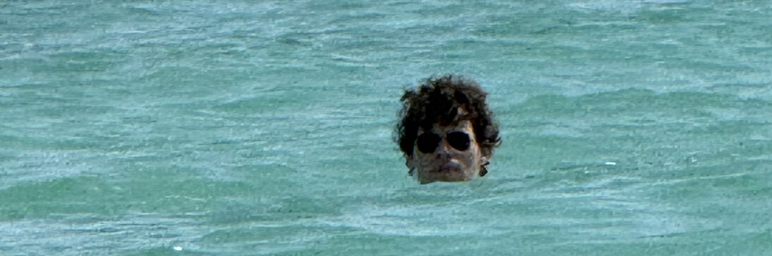 rvil's profile banner image
