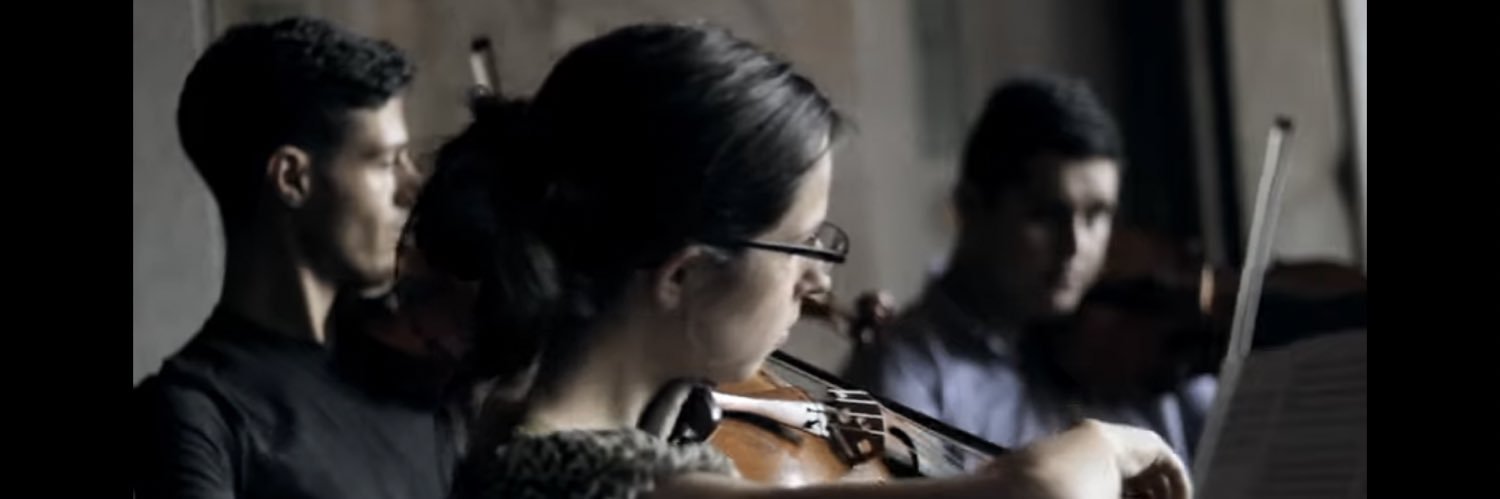evergreenviolin's profile banner image