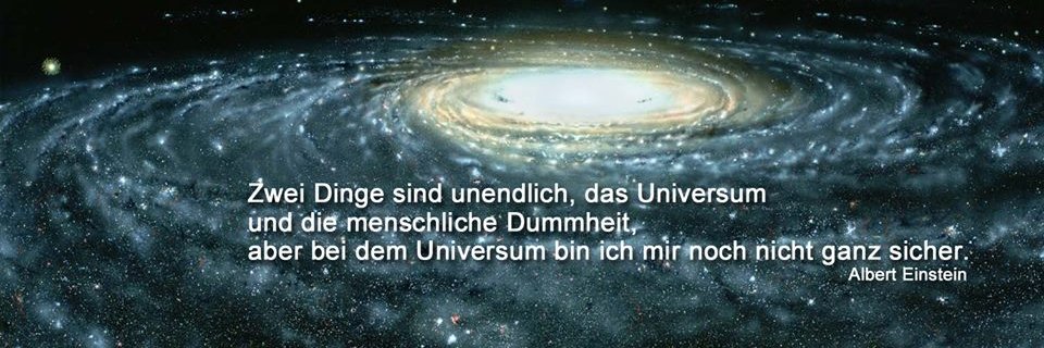 Harry Werner fuck AfD banner