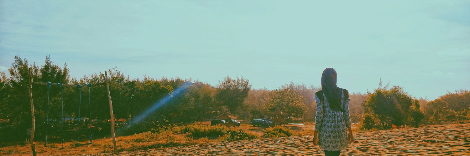 DESI banner