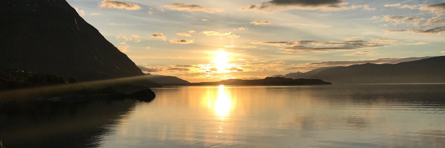 KimRydningen's profile banner image