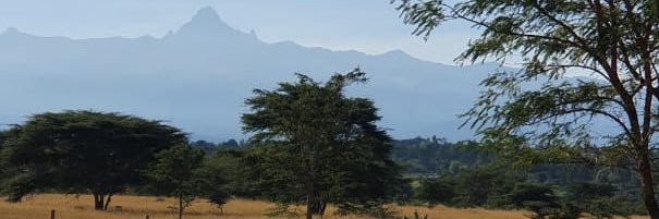 angienguku's profile banner image