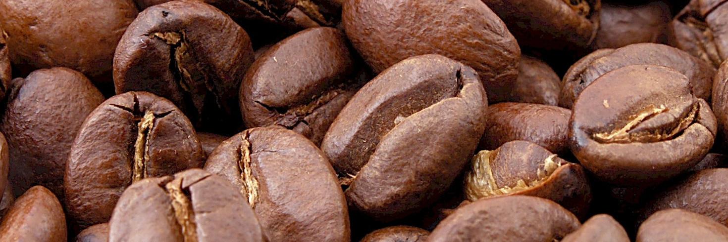 FlyingRoasters's profile banner image